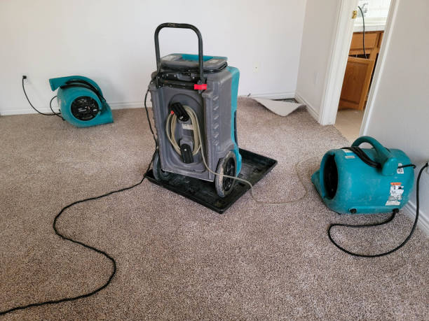 Best Water damage restoration near me  in Wade, MS