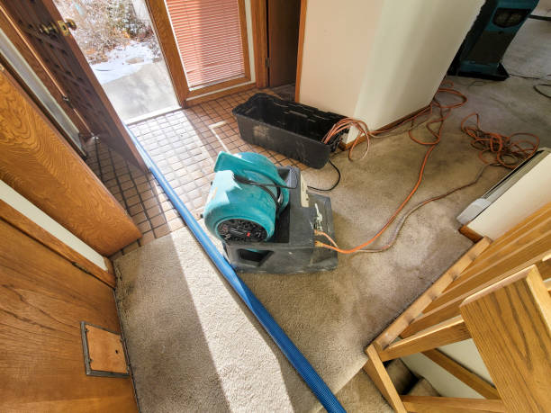  Wade, MS Water damage restoration Pros