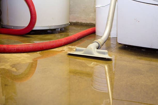 Best Flooded house restoration  in Wade, MS