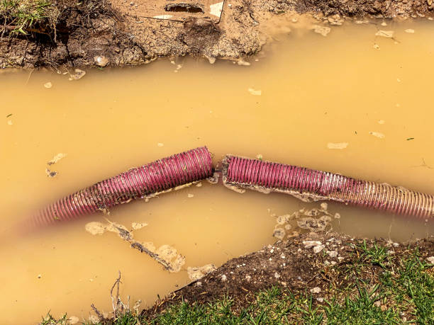Best Water damage cleanup near me  in Wade, MS